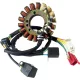 Stator Oe Style 21 827 RICK'S MOTORSPORT ELECTRIC 21-827
