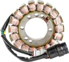 Stator Oe Style 24 104 RICK'S MOTORSPORT ELECTRIC 24-104