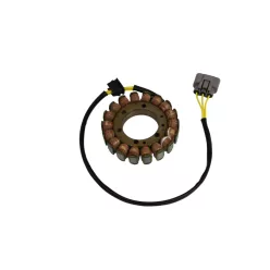 Stator Cf Moto RICK'S MOTORSPORT ELECTRIC 21-064