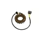 Stator Cf Moto RICK'S MOTORSPORT ELECTRIC 21-064