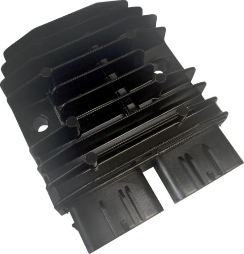 Stator RICK'S MOTORSPORT ELECTRIC 10-000