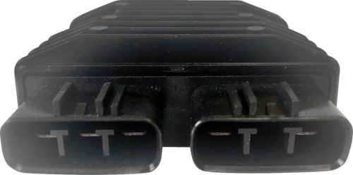 Stator RICK'S MOTORSPORT ELECTRIC 10-000