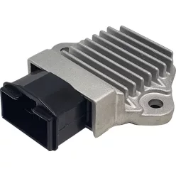 Stator RICK'S MOTORSPORT ELECTRIC 10-106H