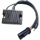 Stator RICK'S MOTORSPORT ELECTRIC 10-914B