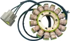 Stator RICK'S MOTORSPORT ELECTRIC 21-038