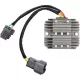 Stator RICK'S MOTORSPORT ELECTRIC 10-447
