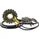 Kit încărcare Hot Shot (stator + releu) RICK'S MOTORSPORT ELECTRIC 14-99-201H