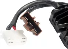 Releu de încărcare RICK'S MOTORSPORT ELECTRIC 14-002H