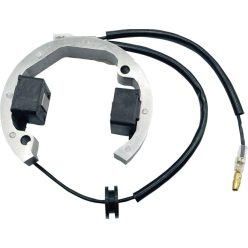 Stator RICK'S MOTORSPORT ELECTRIC 21-0093