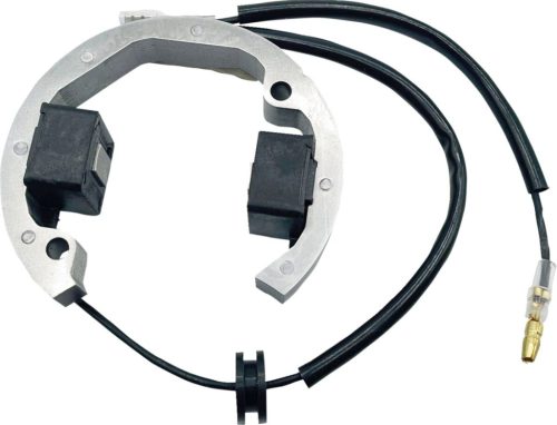 Stator RICK'S MOTORSPORT ELECTRIC 21-0093