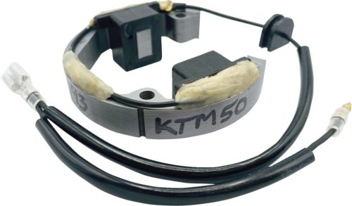 Stator RICK'S MOTORSPORT ELECTRIC 21-0093