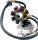 Kit încărcare Hot Shot (stator + releu) RICK'S MOTORSPORT ELECTRIC 14-99-900H