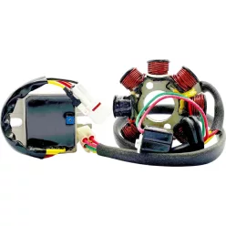 Stator RICK'S MOTORSPORT ELECTRIC 14-99-903H