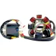 Stator RICK'S MOTORSPORT ELECTRIC 14-99-903H