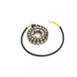 Stator RICK'S MOTORSPORT ELECTRIC 21-169
