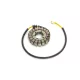 Stator RICK'S MOTORSPORT ELECTRIC 21-169