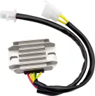 Stator RICK'S MOTORSPORT ELECTRIC 10-236