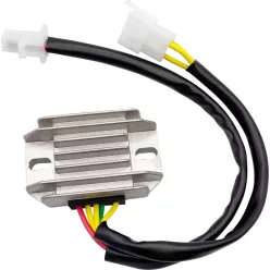 Stator RICK'S MOTORSPORT ELECTRIC 10-236