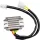 Stator RICK'S MOTORSPORT ELECTRIC 10-236