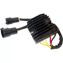 Stator RICK'S MOTORSPORT ELECTRIC 10-329H