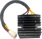 Stator RICK'S MOTORSPORT ELECTRIC 14-213H