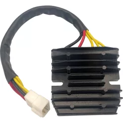 Stator RICK'S MOTORSPORT ELECTRIC 14-213H