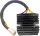 Stator RICK'S MOTORSPORT ELECTRIC 14-213H