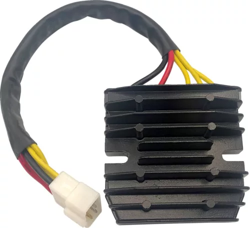 Stator RICK'S MOTORSPORT ELECTRIC 14-213H