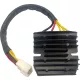 Stator RICK'S MOTORSPORT ELECTRIC 14-213H