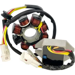 Stator RICK'S MOTORSPORT ELECTRIC 14-99-902H