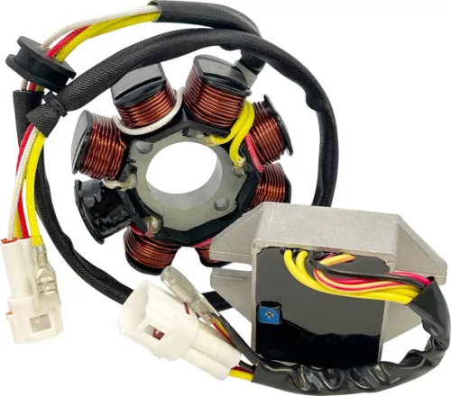Stator RICK'S MOTORSPORT ELECTRIC 14-99-902H