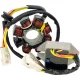 Stator RICK'S MOTORSPORT ELECTRIC 14-99-902H