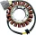 Stator RICK'S MOTORSPORT ELECTRIC 21-041