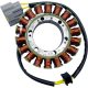 Oe Style Ducati Stator