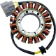 Stator RICK'S MOTORSPORT ELECTRIC 21-041