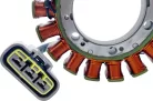 Stator RICK'S MOTORSPORT ELECTRIC 21-041