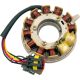 Oe Style Ski Doo Stator