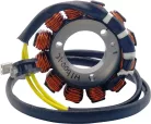 Stator RICK'S MOTORSPORT ELECTRIC 21-0091H