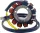 Stator RICK'S MOTORSPORT ELECTRIC 21-0091H