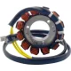 Stator RICK'S MOTORSPORT ELECTRIC 21-0091H