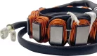 Stator RICK'S MOTORSPORT ELECTRIC 21-0091H