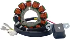 Stator 21 0092H RICK'S MOTORSPORT ELECTRIC 21-0092H