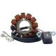 Stator 21 0092H RICK'S MOTORSPORT ELECTRIC 21-0092H