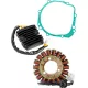 Stator RICK'S MOTORSPORT ELECTRIC 99-304