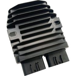 Stator RICK'S MOTORSPORT ELECTRIC 10-677