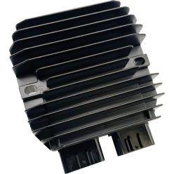 Stator RICK'S MOTORSPORT ELECTRIC 10-678