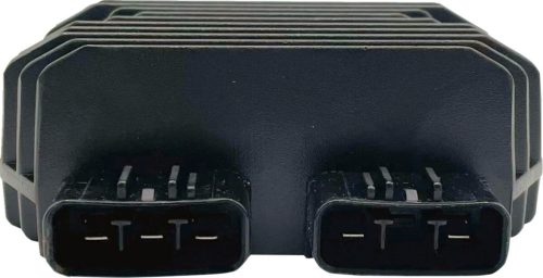 Stator RICK'S MOTORSPORT ELECTRIC 10-678