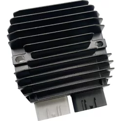 Stator RICK'S MOTORSPORT ELECTRIC 10-679