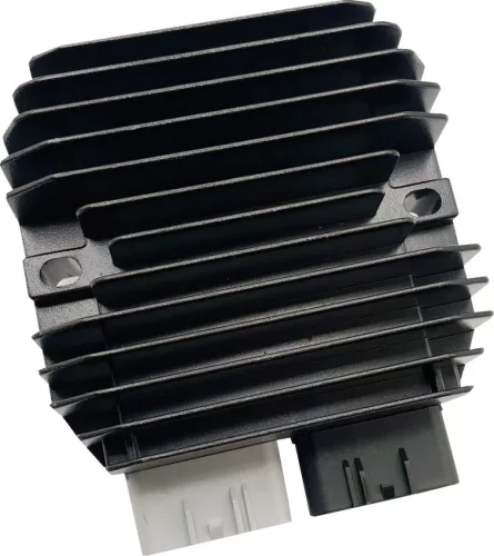 Stator RICK'S MOTORSPORT ELECTRIC 10-679
