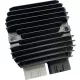 Stator RICK'S MOTORSPORT ELECTRIC 10-679